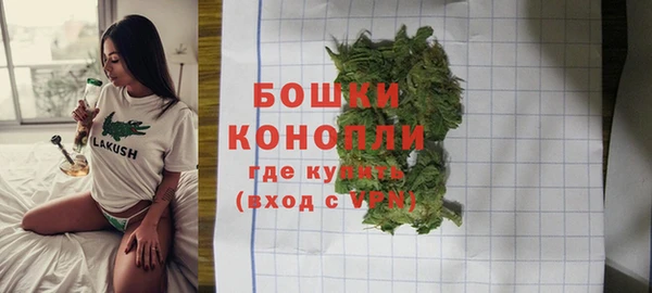дурь Богородицк