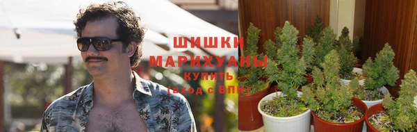 ГАЛЛЮЦИНОГЕННЫЕ ГРИБЫ Богородск