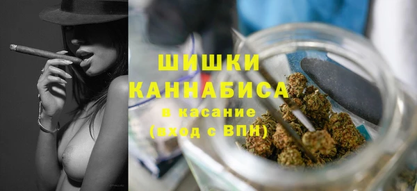 сатива Белокуриха