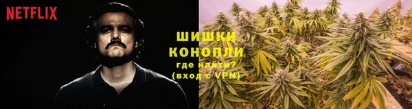 дурь Белоозёрский