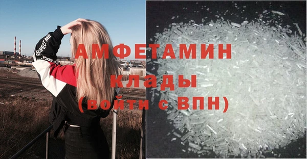 дурь Богородицк