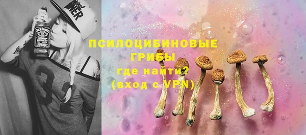 сатива Белокуриха